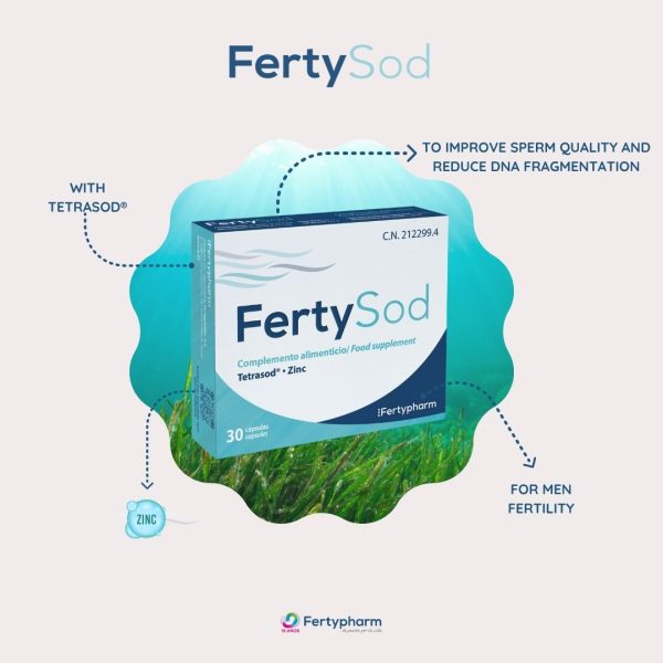 FertySod - Image 2