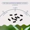 FertyBiotic Embarazo - Imagen 3