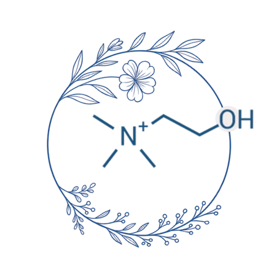 FertyBiotic Embarazo B+ - Fertypharm